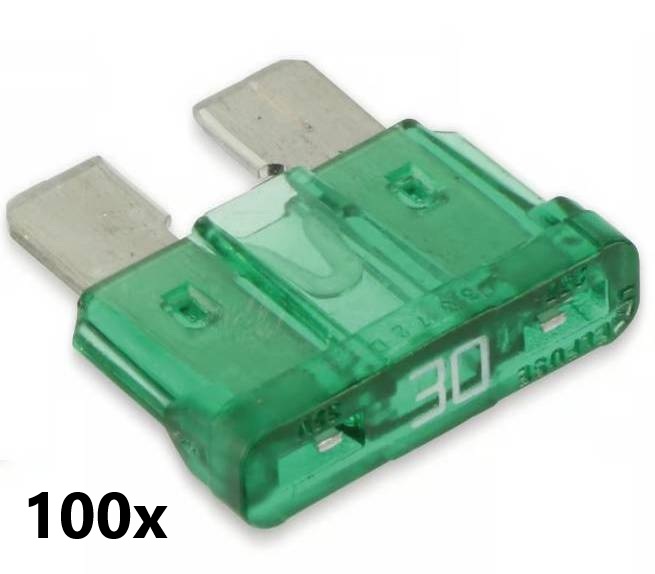 100x KFZ Flach Sicherung 30A